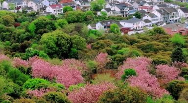 『迎春踏青 启程冒险』走进苏州米堆山，迎接春日的拥抱