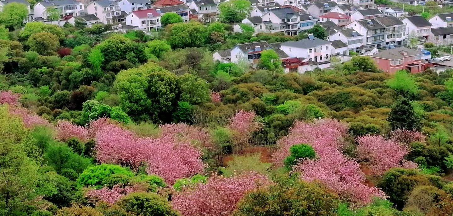 『迎春踏青 启程冒险』走进苏州米堆山，迎接春日的拥抱